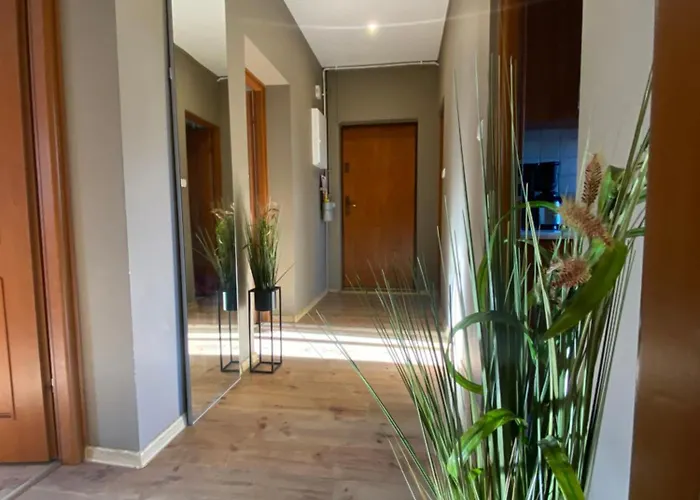 4 - 86 M2 - 300 M Od Rynku Апартаменты Вроцлав