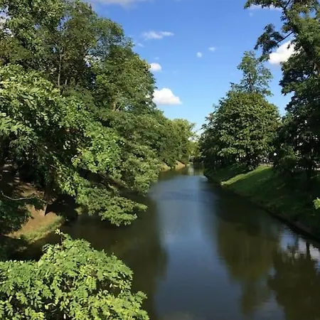 4 - 86 M2 - 300 M Od Rynku Апартаменты